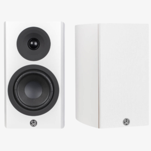 Loa không dây System Audio 5.2 DS Silverback